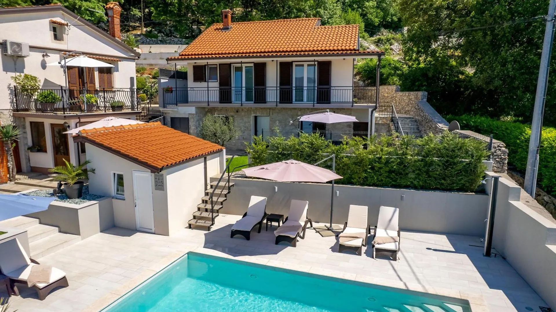 Srok Luxury Apartment With Pool Kastav